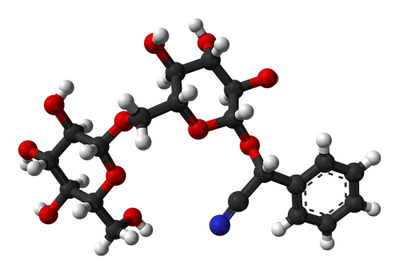 3D molecule of Amygdalin